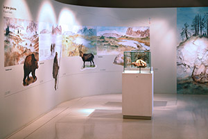 diorama